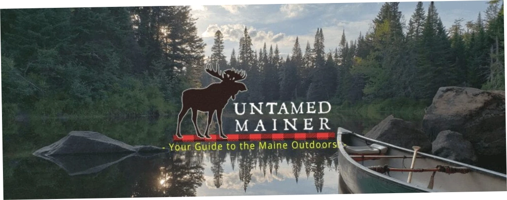 Untamed Mainer