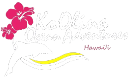 Ko Olina Ocean Adventures
