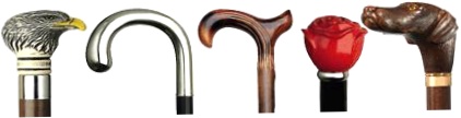 Exquisite Walking Canes