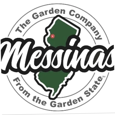 Messinas
