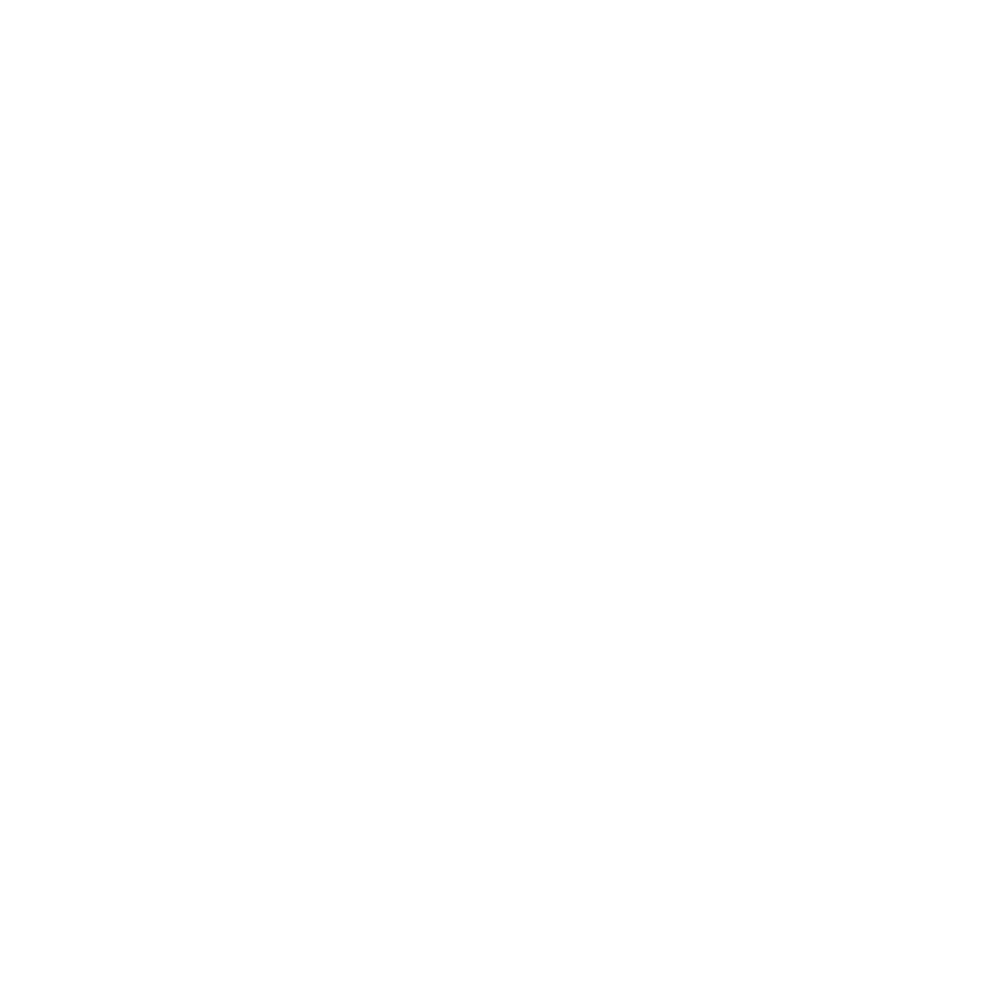 Evotion Chastity