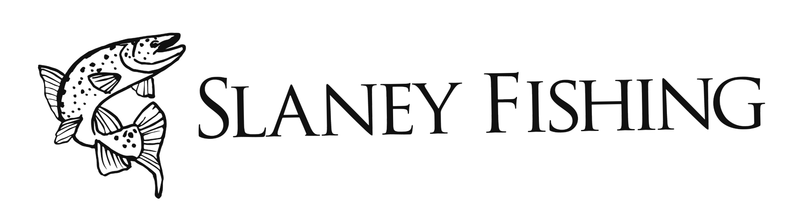 Slaney Fishing