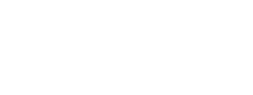 Moose Scooters