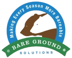 Bare Ground