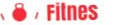 Fitnessse