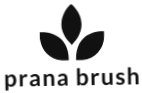 Prana Brush