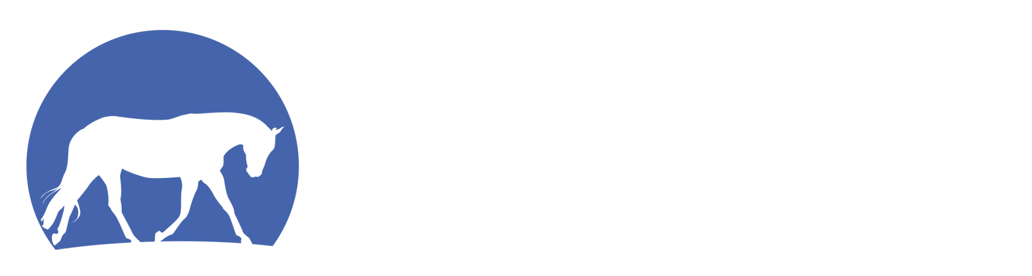 Steady Horse