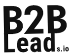 B2B Leads
