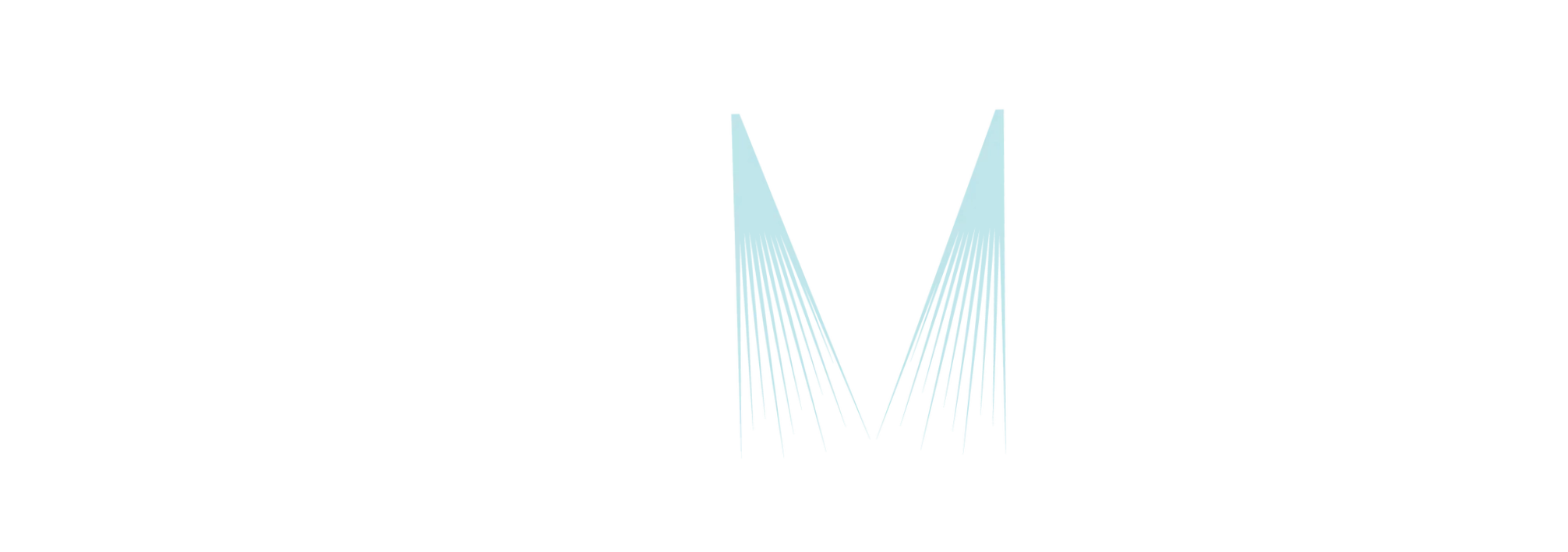 Aermist