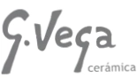 Gvega