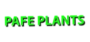 Pafe Plants