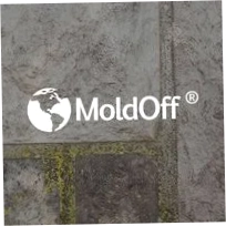 Mold Off