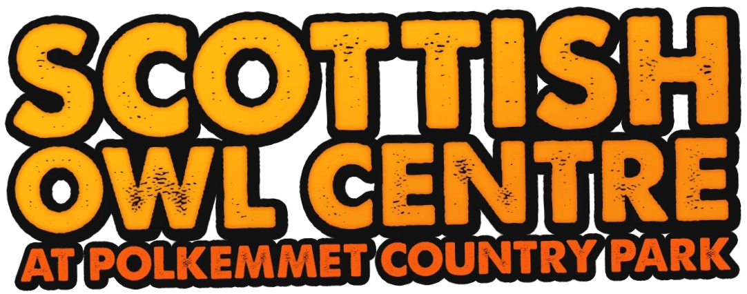 Scottish Owl Centre