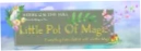 Little Pot Of Magic