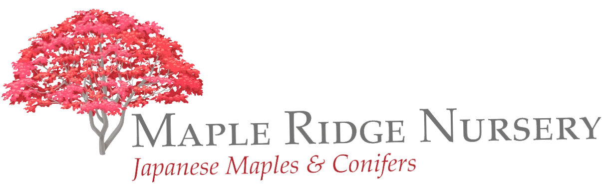 Maple Ridge Nursery