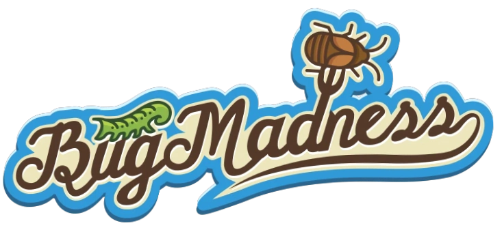 Bug Madness