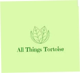 All Things Tortoise
