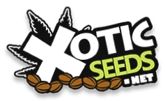 Xotic Seeds