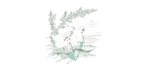 Wild Natural Living