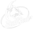 Bullgear
