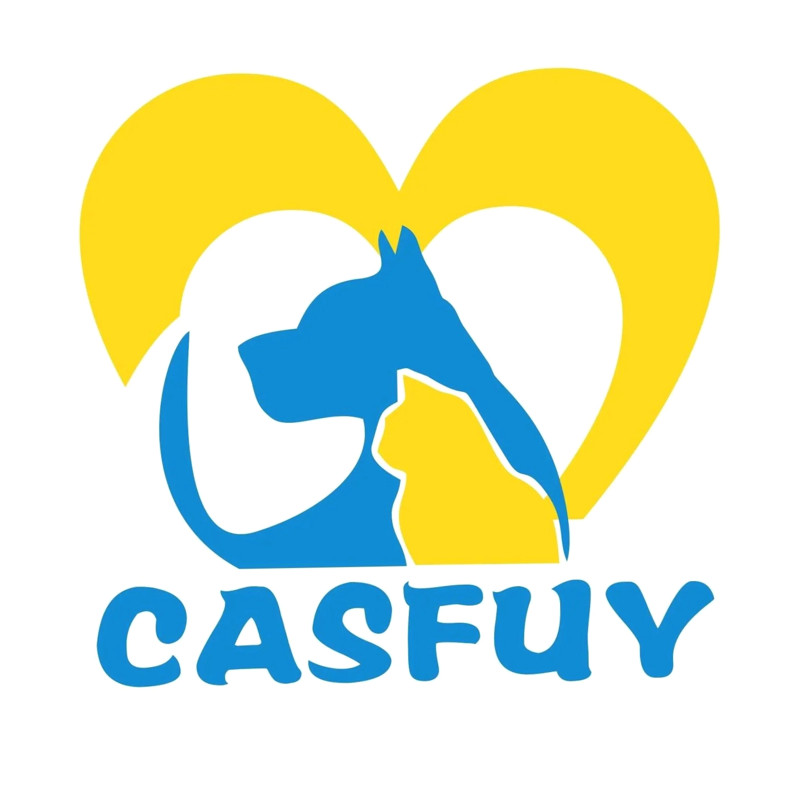 Casfuy