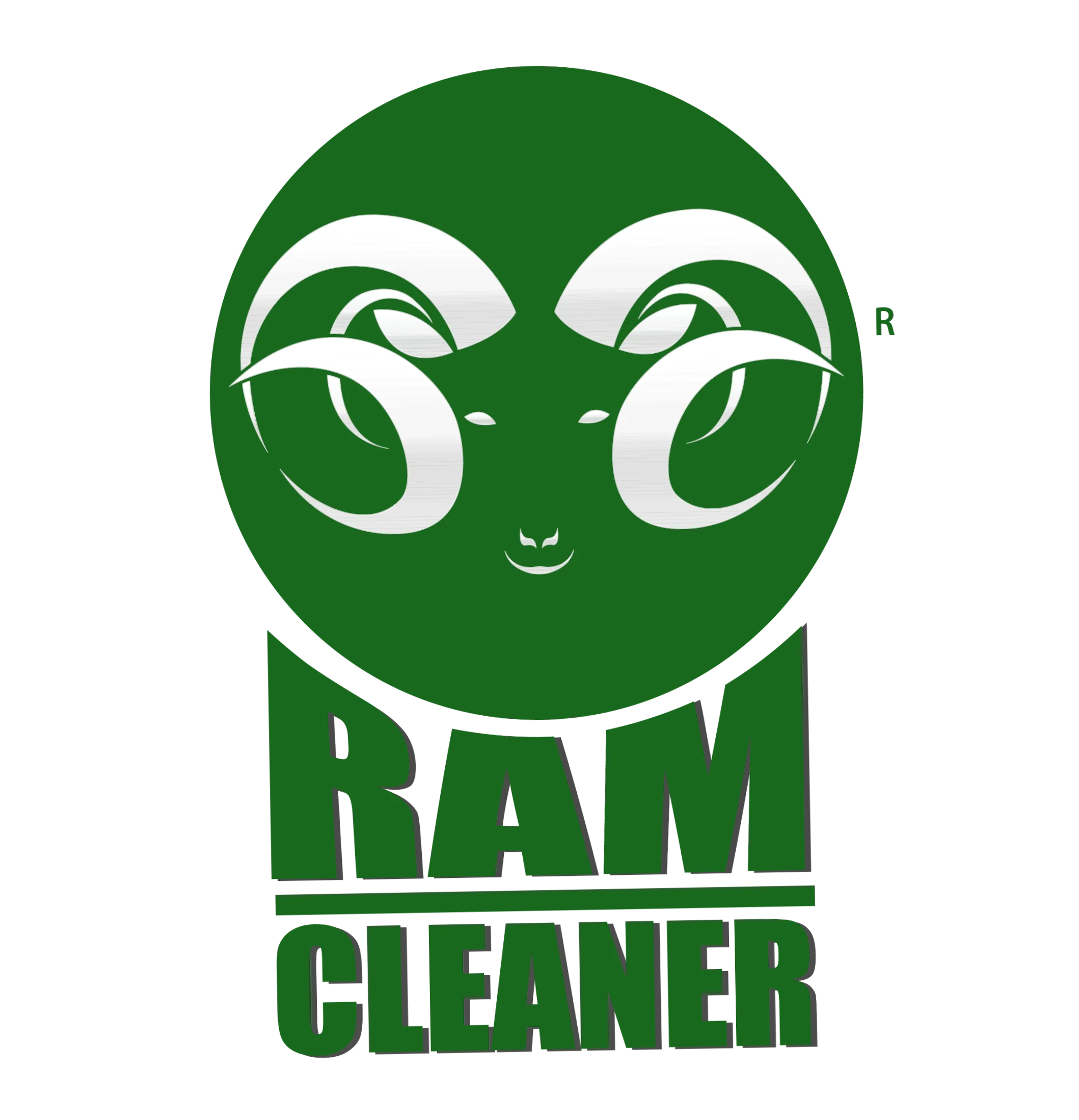 Ram Cleaner