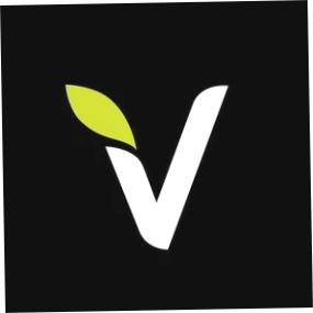 Vega