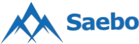 Saebo