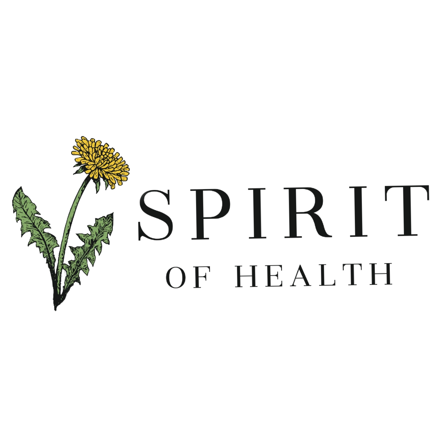 Spirit Of Health KC