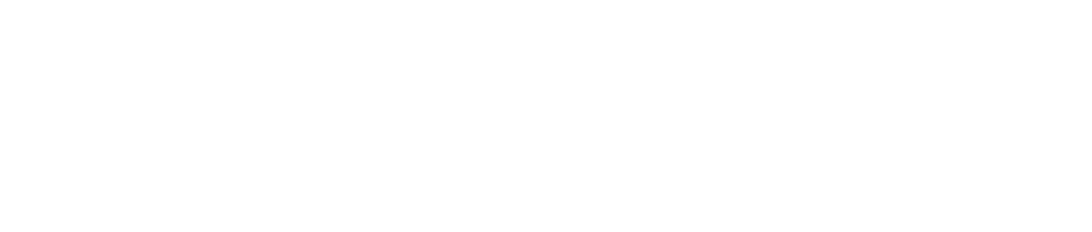 Fit One