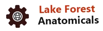 Lake Forest Anatomicals