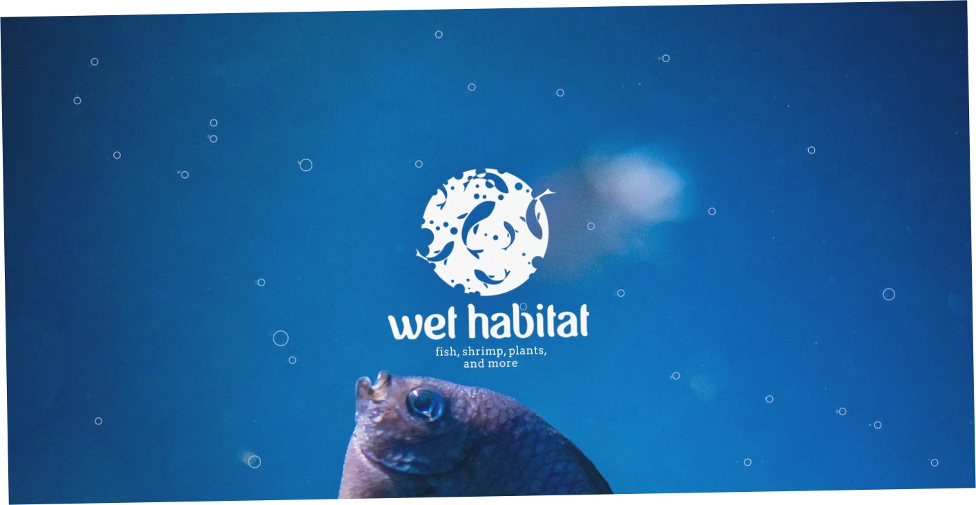 Wet Habitat