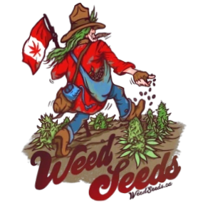 WeedSeeds