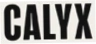 Calyx Wellness