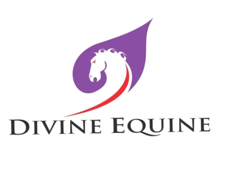 Divine Equine
