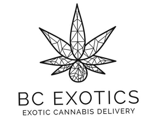 Bc Exotics