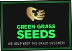 Green Grass Seeds