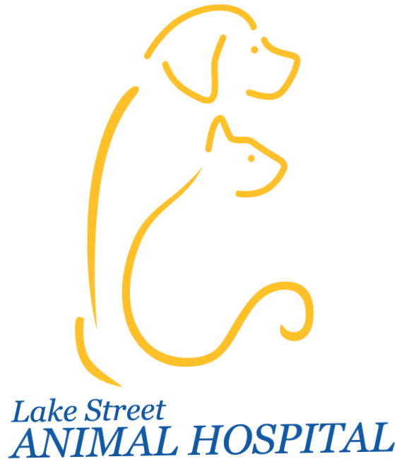 Lake Street Animal Hospital