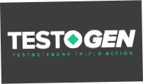 TestoGen