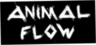 Animal Flow