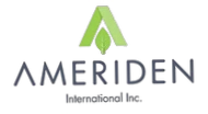 Ameriden International