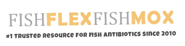 FishFlexFishMox