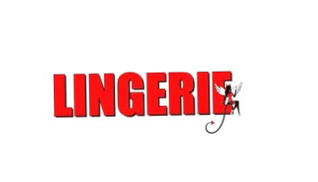 The Lingerie Store
