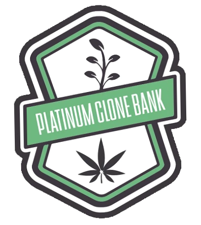 Platinum Seed Bank