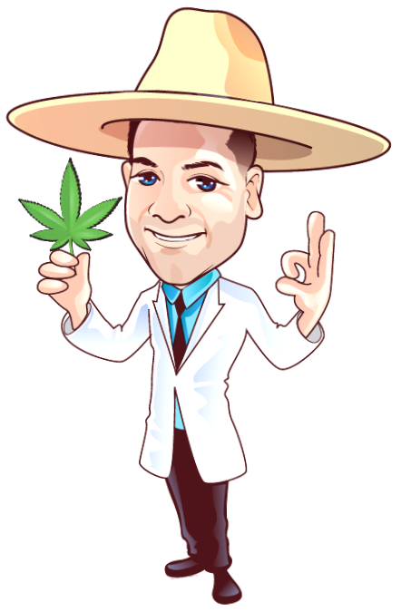 Marijuana Seed Connect