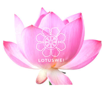 Lotus Wei