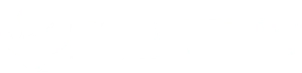 ElfBarMarket