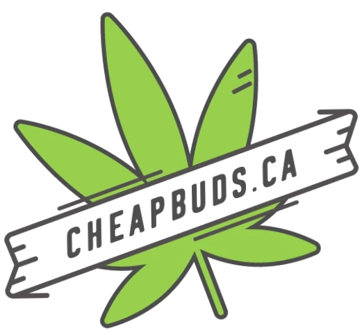 cheapbuds