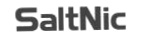 Saltnic