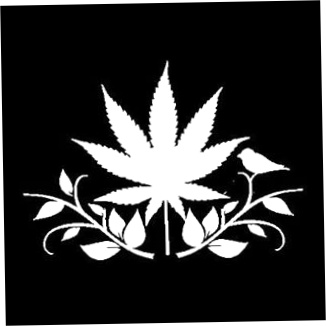 Thc Collection